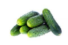 Ein kürbis ist reif, wenn er beim klopfen hohl klingt und die stiele holzartig aussehen. Gurken Ernten Wann Ist Die Beste Erntezeit