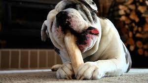 You might also like this photos. Stainmaster Carpet Cushion Youtube