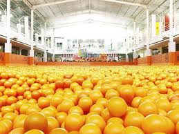 Centrum Million Balls Wisata Mandi Bola Di Kolam Luas Dan Spot Selfie Kekinian