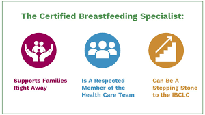 Become A Certified Breastfeeding Specialist With Ler - Youtube