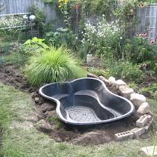 We can delivery to most of uk at the lowest price. How To Start A Pond In Your Backyard Empress Of Dirt