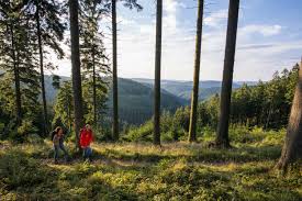 Wonder what a group of guys do when they're bored? This Is How Germans Spend Their Free Time The Local