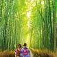 Asian Adventures with WendyWu Tours event image