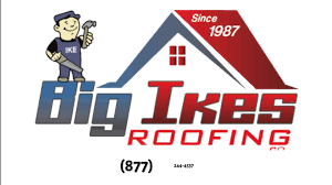 Big Ike's Roofing Co