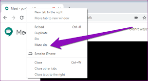 How To Mute Everyone On Google Meet