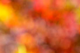 Tons of awesome fall colors background to download for free. Herbstfarben Hintergrund Kostenloses Stock Bild Public Domain Pictures