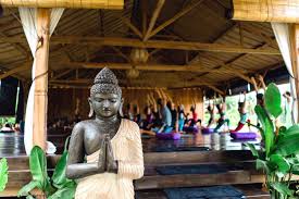 Check spelling or type a new query. 5 Of The Best Yoga Teacher Training Retreats In Bali