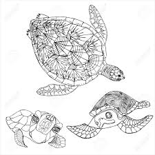 Realistic sea turtle drawing at getdrawings. Sea Turtle Coloring Book Hand Drawing Coloring Book For Children Royalty Free Cliparts Vectors And Stock Illustration Image 145032086
