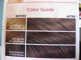 Loreal Composite Colors Color Chart Buy Loreal Paris