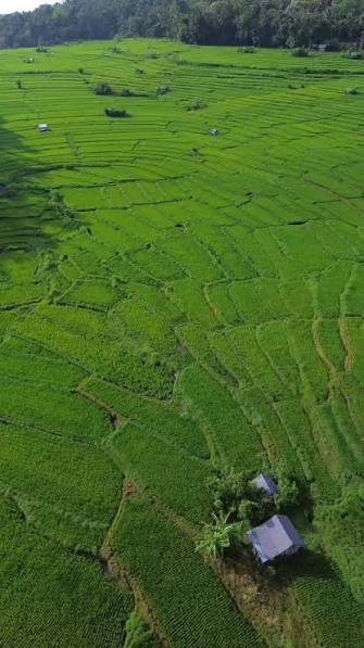 Sawah Agung