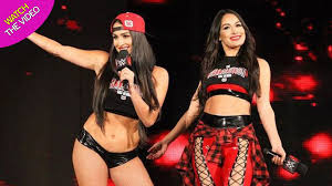 Initially, she thought of pursuing a career in. Nikki And Brie Bella Beg For Prayers As Mum Undergoes Brain Surgery Irish Mirror Online
