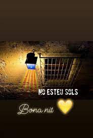 Pin De Dolors Blancafort En Imatges Bona Nit Bona Buenas Noches Noche