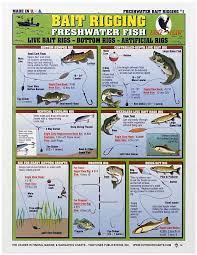 Waterproof Fishing Chart Freshwater Bait Rigging Bass Pro Shops Trout Fishing Tips Fishing Tips Fishing Rigs