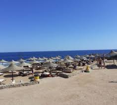 The dive inn will offer typical dive bar food, ramig said: Hotelbilder Dive Inn Resort Hadabat Umm Es Sid Holidaycheck