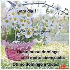 images?q=tbn:ANd9GcRhe1ywYOJEdvivovBSW7W