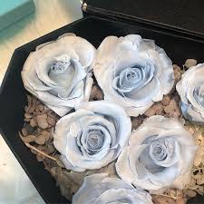We did not find results for: Blue Breeze Www Gerbilsgarden Com Updated The Webstore Preserved Flowers Singapore Sgfloris How To Preserve Flowers Flowers Preserved Roses