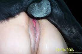 Animal poen - comisc.theothertentacle.com