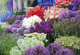 These beautiful pictures of pretty flowers are free stock photos and can be downloaded and commercially used because they are licensed under the free pexels license. 33 Beautiful Flower Beds Adding Bright Centerpieces To Yard Landscaping And Garden Design