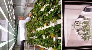 Hours may change under current circumstances Hortidaily Global Greenhouse News