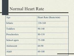 Normal Pulse Rate For An Adults