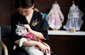 Maybe you would like to learn more about one of these? Catwalk Pet Clothing Designer Inspired By Ancient Chinese Beauties Lifestyle Photos Gulf News