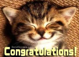 Congratulations Images Greetings And Pictures For Facebook Page 2 Happy Birthday Funny Cats Cat Birthday Memes Kittens Cutest