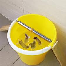 Set up a bucket trap outside if you want to catch multiple mice at a time. 1pc Useful Log Roll Bucket Mice Trap Rolling Mouse Rat Stick Rodent Spin Rotatable Mouse Catch Trap Traps Aliexpress