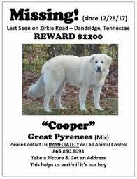Some results of puppies for sale nc craigslist only suit for specific products, so make sure all the items in your cart qualify before submitting your order. 99 South Carolina Us Lost Dog Registry Ideas Losing A Dog Find Pets South Carolina