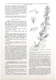 Image result for Isodon ramosissimus