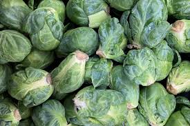 Growing Brussels Sprouts | Extension ...
