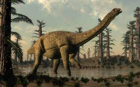 L'analyse anatomique effectuée ne permet pas encore de considérer le dinosaure trouvé en 2012 comme une nouvelle espèce, indiquent les chercheurs dans le rapport, mais la. C Est Probablement Le Plus Grand Animal Terrestre De Tous Les Temps