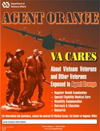 How Agent Orange Worked Agent Orange Vietnam Veterans Vietnam War Photos