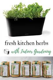 Indoor Herb Garden Kits For Fresh Kitchen Herbs Family Food Garden Herb Garden Kit Food Garden Kitchen Herbs