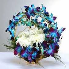 With the constant improved process, hoayeuthuong.com tries our best to deliver the flowers within 2 hours. Blue Orchids And White Carnations Arrangement Myflowergift