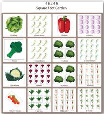 Square Foot Garden Plan Vegetable Garden Raised Beds Square Foot Gardening Plans Raised Bed Vegetable Garden Layout