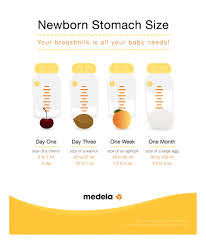 Baby Stomach Size Chart World Of Reference