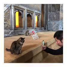 Little Guardians Of Hagia Sophia Museum Gli And Kizim
