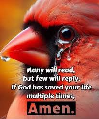 More join 👉 middle aged family