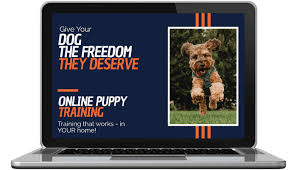 Online dog training courses 01 positive and effective dog training, online and anytime! Off Leash K9 Training Of Central Coast California Dog Obedience Training Behavior Modification