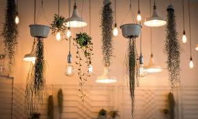 How to hang plants indoors. 15 Best Indoor Hanging Plants For Small Indoor Spaces With Pictures