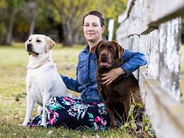 .dog club of victoria inc. this does not mean that the breeder follows the german shepherd dog council of australia (gsdca) breed improvement 7. Home Kodalihart Labradors