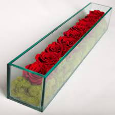 1 x glass vase 11cm diameter 1 x preserved rose head some preserved green 4cm of soft oasis foam 1 x hot glue strip 1 x flori. Preserved Roses In Rectangular Glass Box Preserved Roses Preserved Roses Arrangement Glass Boxes
