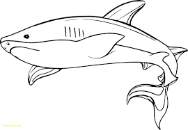 Baby shark and pinkfong coloring pages for kids. Coloring Pages Baby Shark Coloring Pages Collections Of Coloring Home