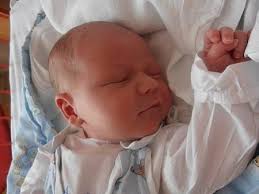 Fotogalerie: Miminka z Českobudějovicka