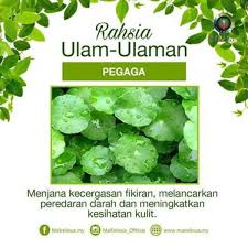 Visit this page for more info. Photos At Bank Islam Masjid Tanah 4 Tips