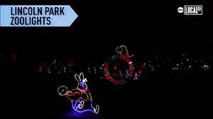 Lincoln Park Zoolights 2021 2022 Tickets On Sale Now As Holiday Light Show Returns To Chicago Abc7 Chicago