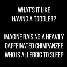 Pin By Justaladywholovesthosepins On If You Need A Smile Funny Mom Quotes Toddler Quotes Mommy Humor