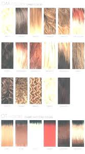 Auburn Colour Hair Chart Orjndo Org