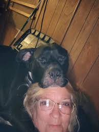 What do you think of mom and dad's breeds?