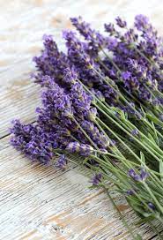 Pin On Edible Gardening